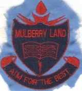 MULBERRYLAND PRIVATE MONTESSORI NUR/PRY SCHOOL, Odi-Olowo