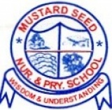 MUSTARD SEED SCHOOLS, Ikotun