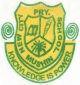 NEW CITY PRIMARY SCHOOL, Mushin