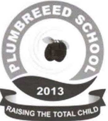 PLUBREED NURSERY & PRIMARY SCHOOL, Sangotedo