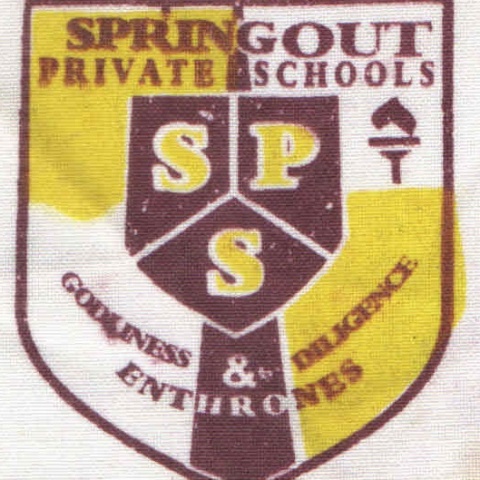SPRING OUT NURSERY PRIMARY SCHOOL, Meiran