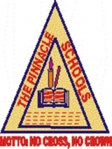 THE PINNACLE GRAMMAR SCHOOL, Alagbado