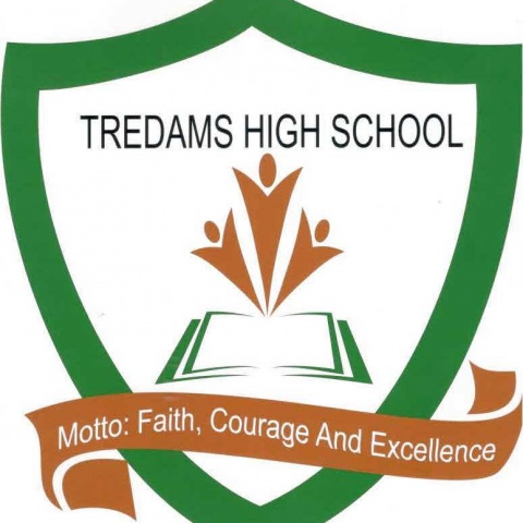 TREDAMS HIGH SCHOOL, Orile - Agege