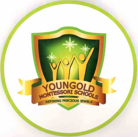 YOUNGOLD NURSERY PRIMARY SCHOOL, Ikeja