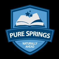 PURE SPRINGS INTERNATIONAL SCHOOL