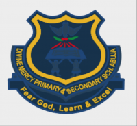 DIVINE MERCY SCHOOL, ASOKORO